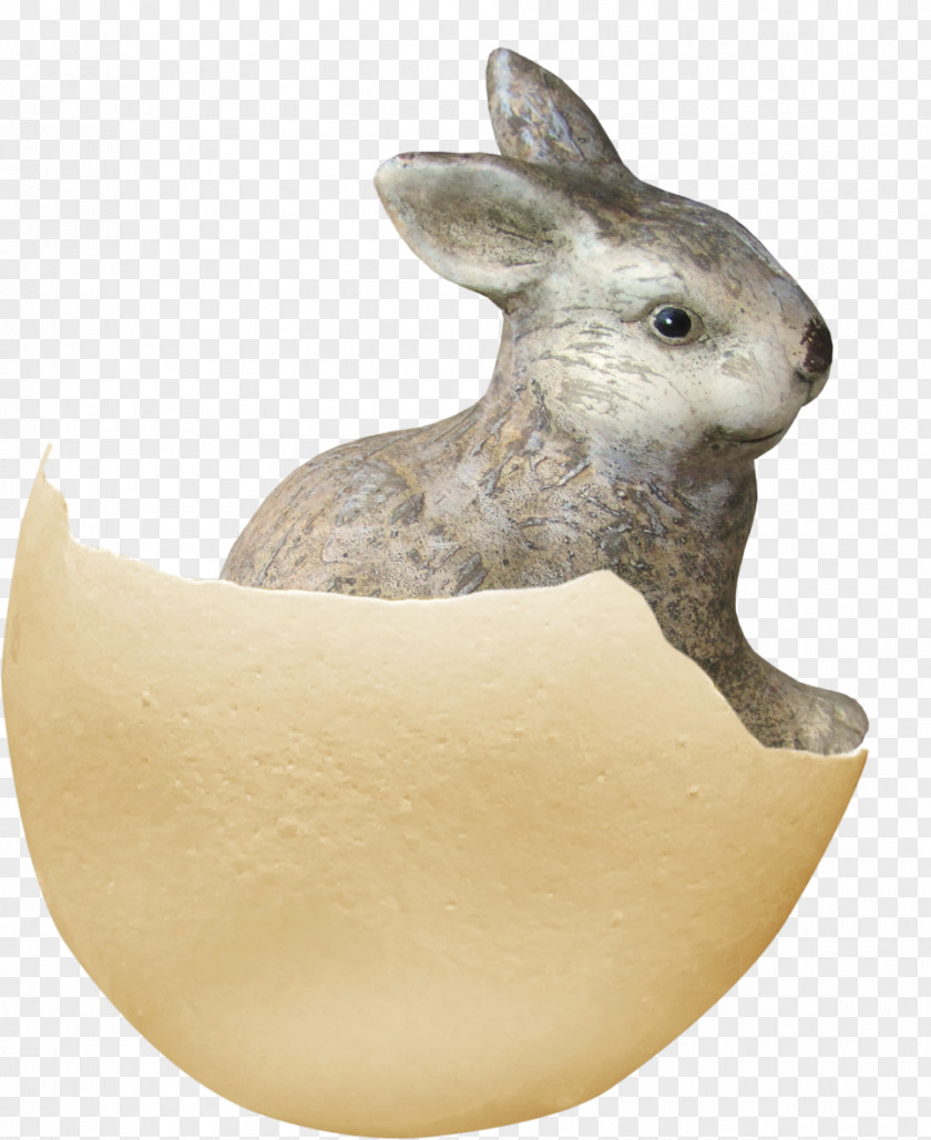 Eggshell Rabbit Domestic PNG