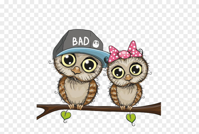 Owl Cartoon Couple Bird PNG