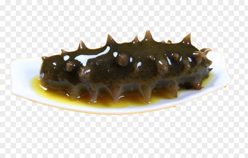 Sea Cucumber As Food Seafood PNG