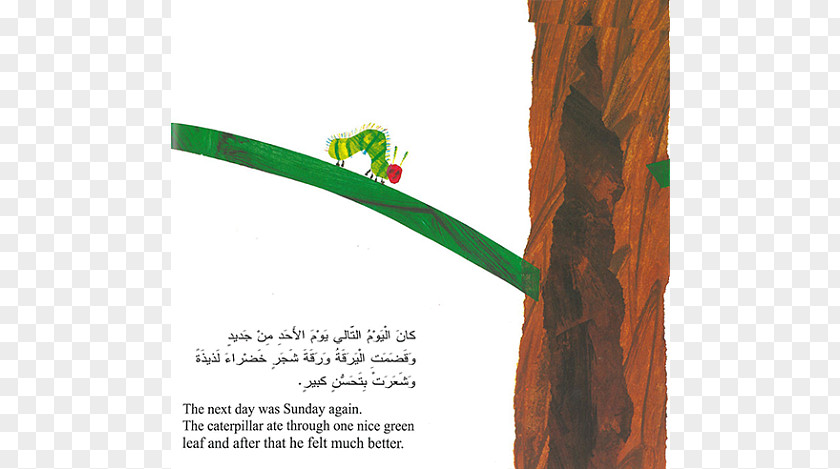 Very Hungry Caterpillar The Hunger Picture Book PNG