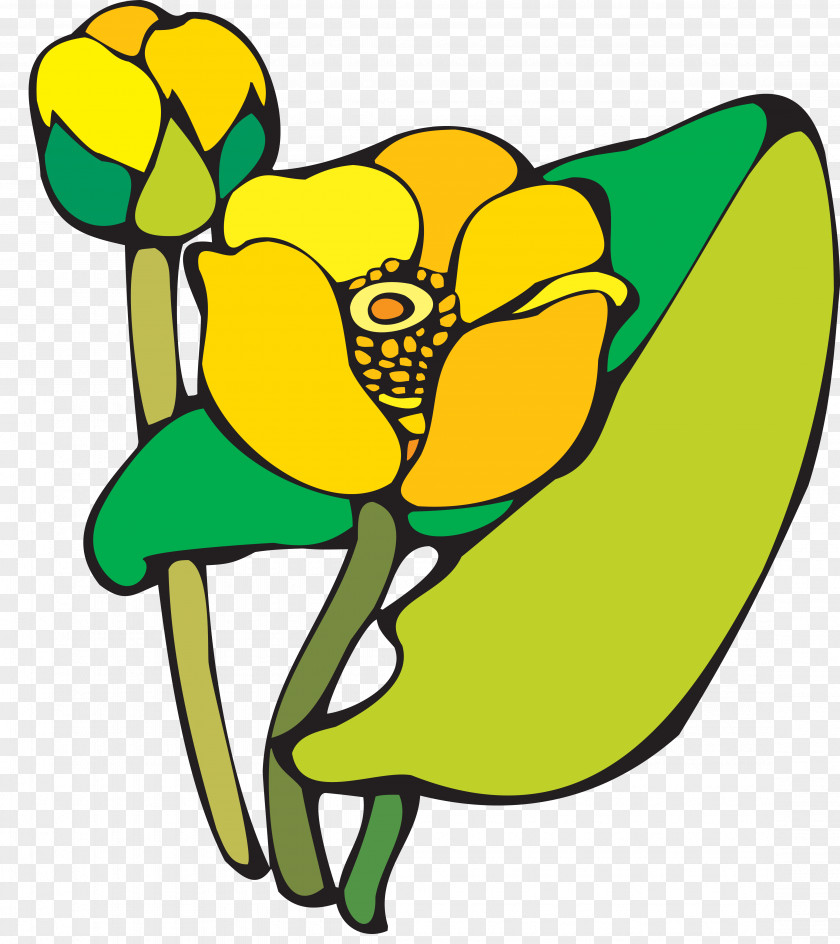Waterlily Water Lilies Yellow Water-lily Clip Art PNG