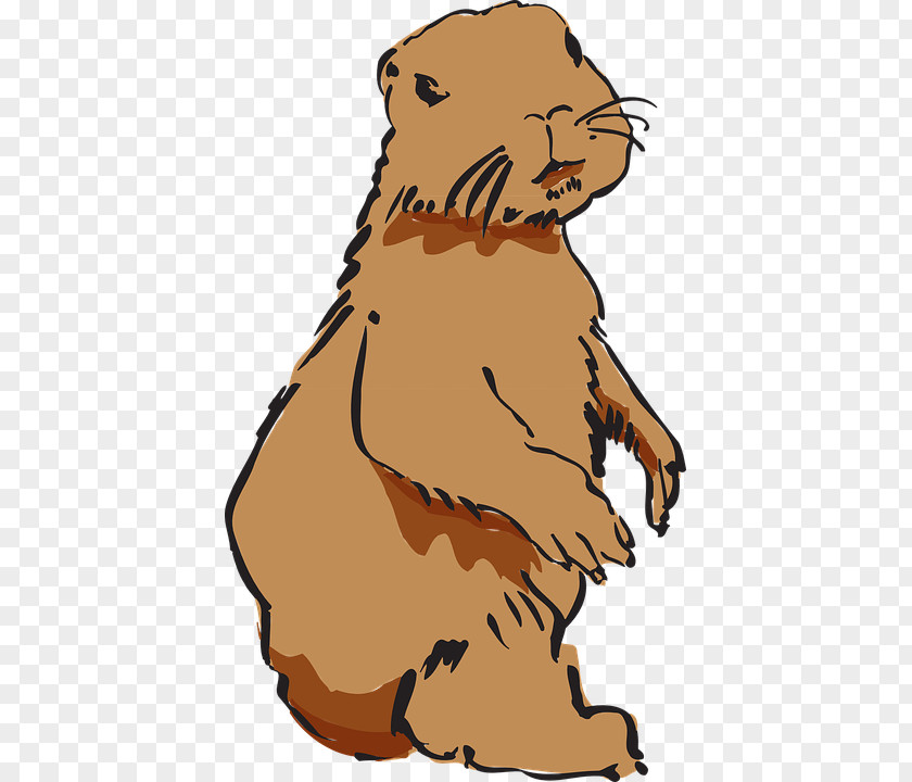 Beaver Fur Windows Metafile Clip Art PNG
