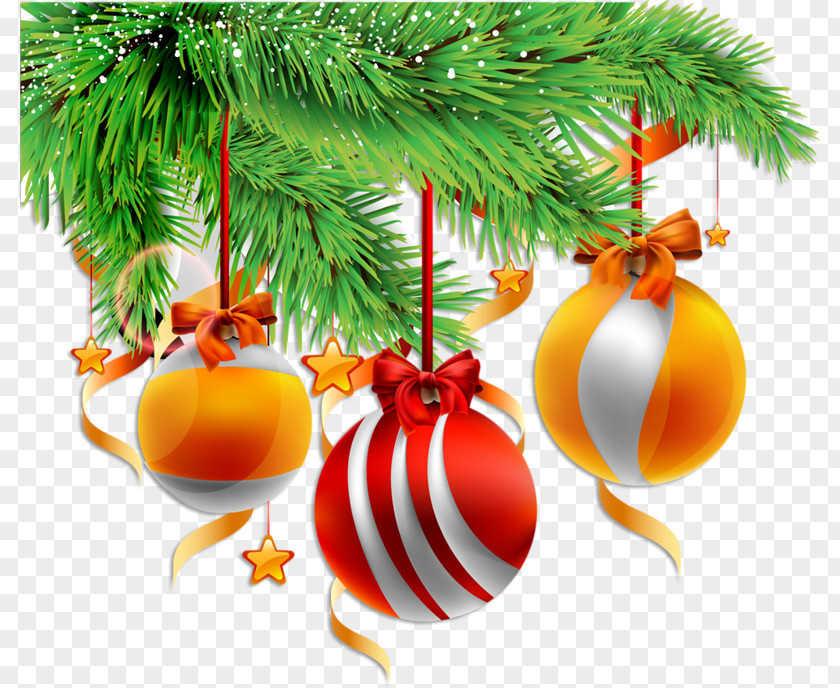 Christmas Ball Ornament PNG