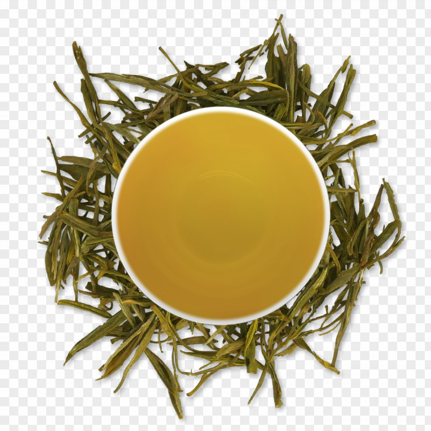 Green Tea Oolong Biluochun White PNG