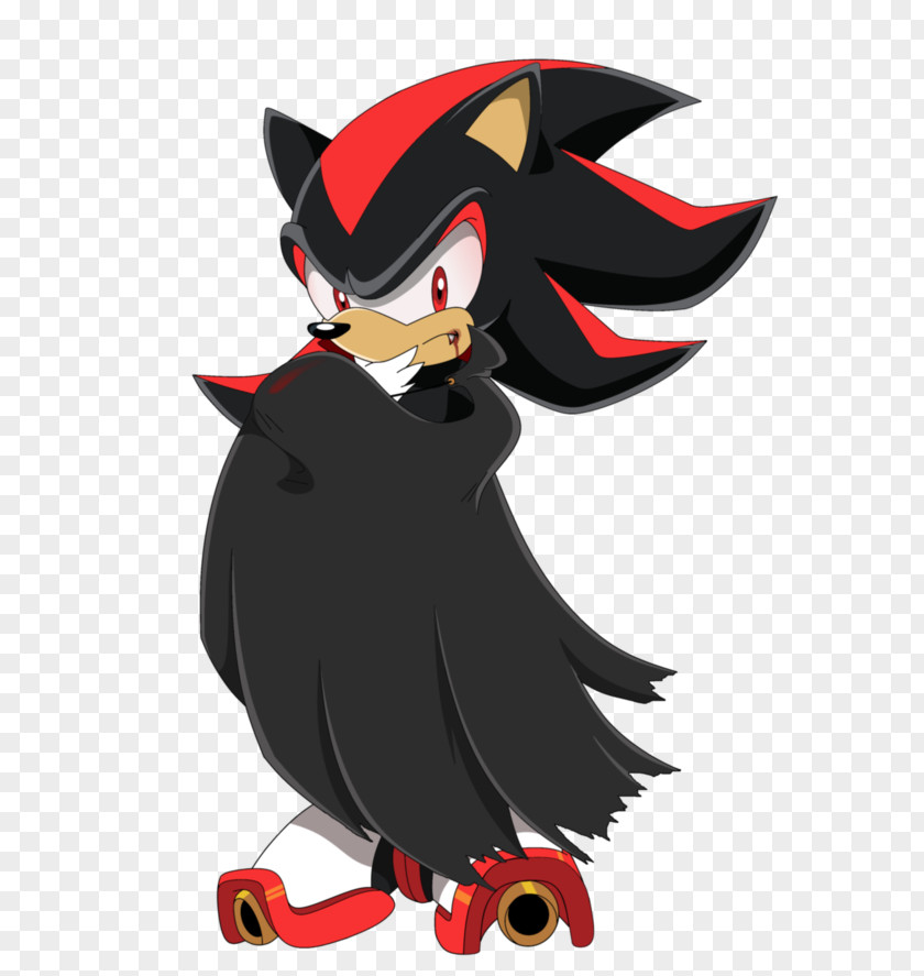 Sonic The Hedgehog Shadow Amy Rose Tails PNG