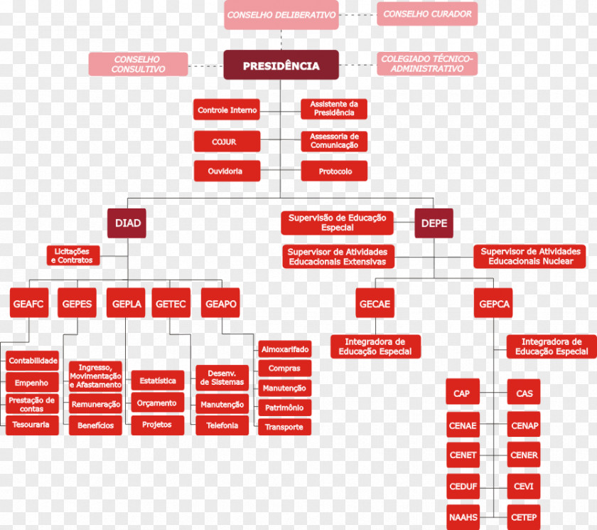 Chart Layout Organizational Special Education Foundation Of Santa Catarina Management Disability PNG