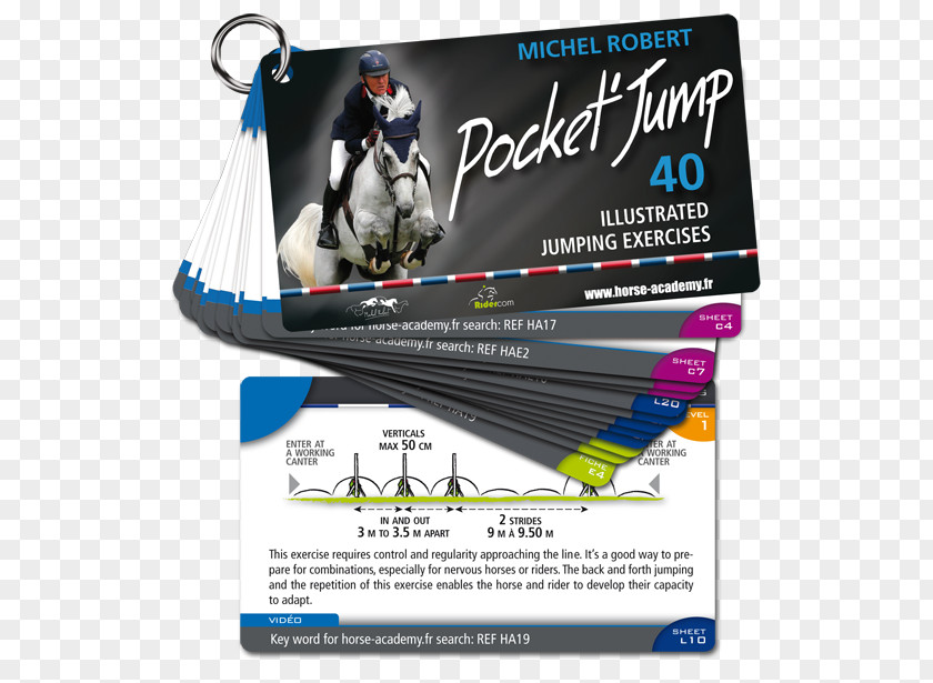 Horse Show Jumping Equestrian Training Author PNG