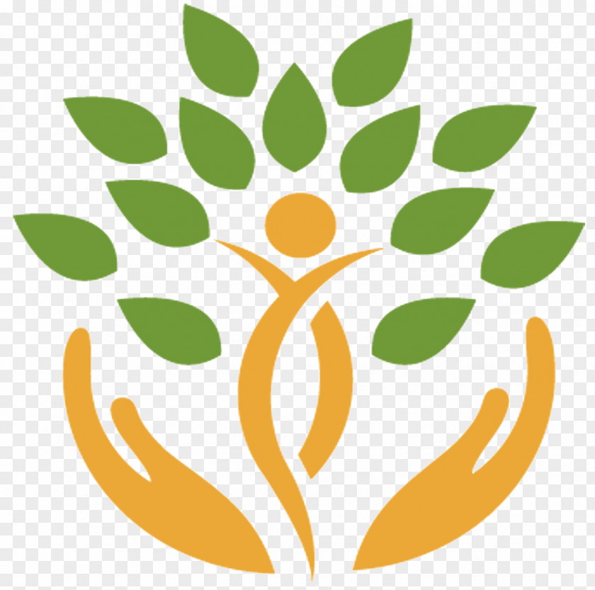 Medicine Icon Bastyr University Naturopathy Health Care Physician PNG