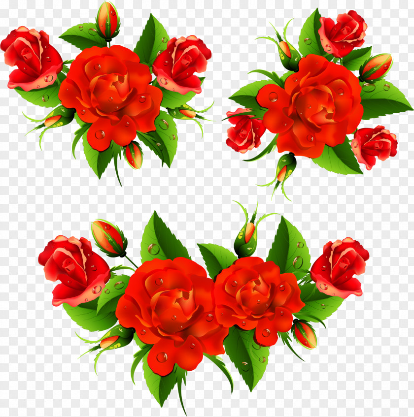 Romantic Rose Vector Wish Morning Blessing Greeting Prayer PNG