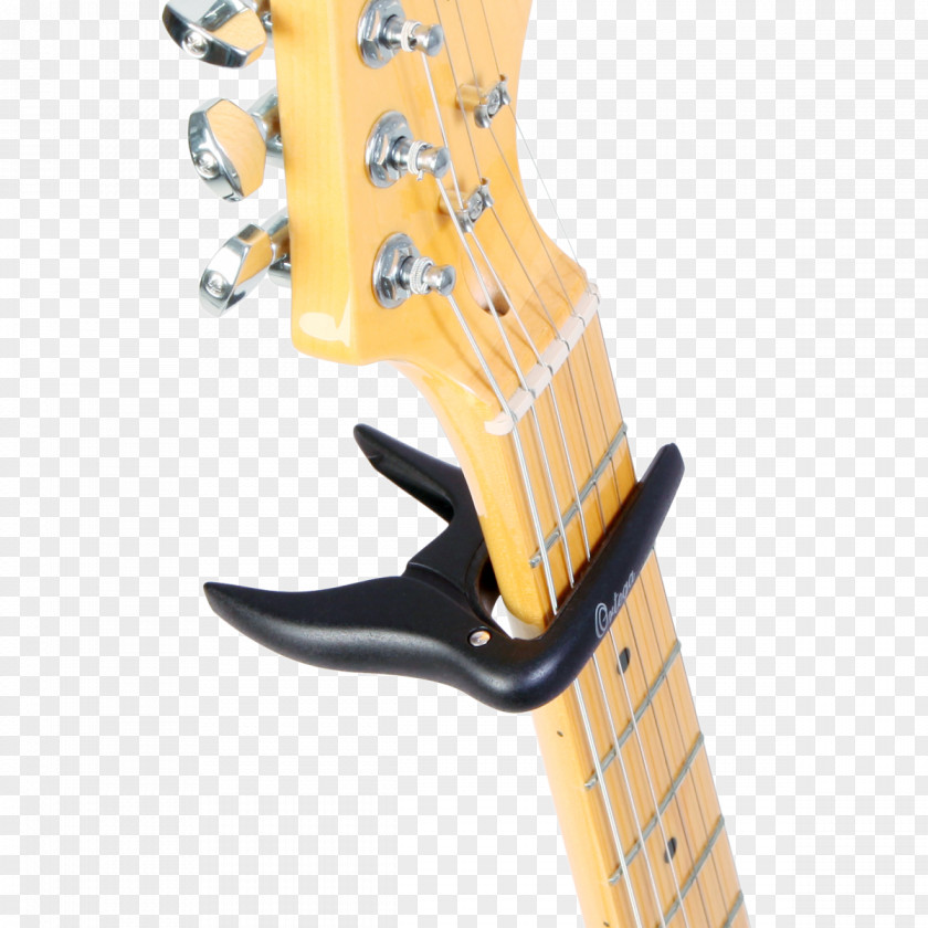 Bass Guitar Electric Nut Capo Fingerboard PNG