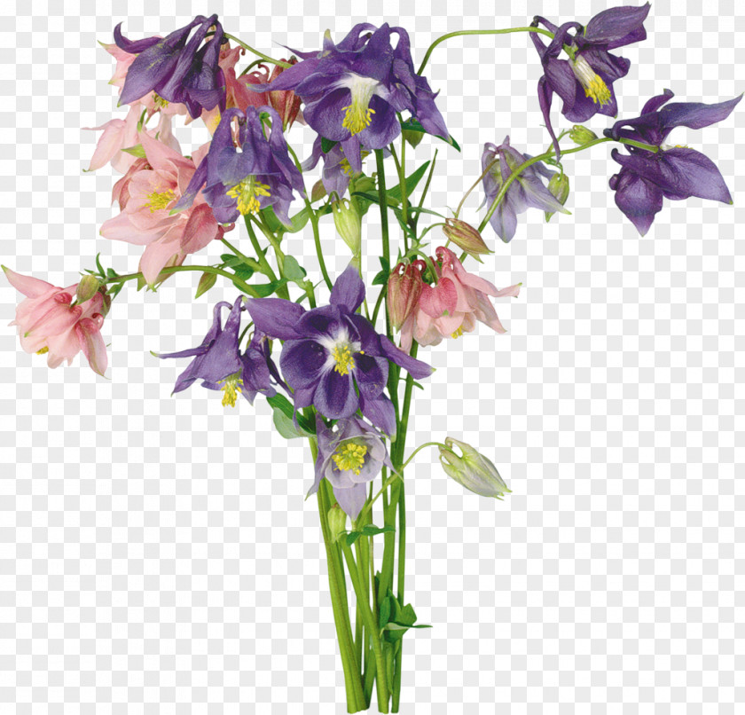 Bouquet Of Flowers Flower Clip Art PNG