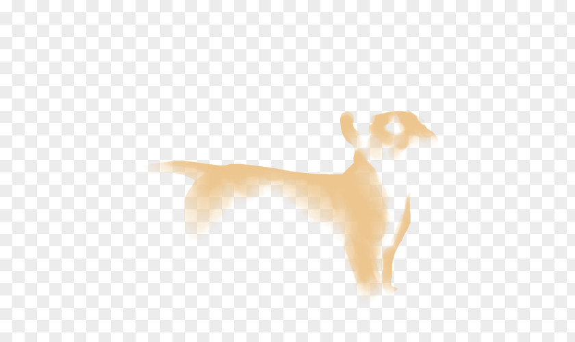 Cat Dog Desktop Wallpaper Paw Ear PNG