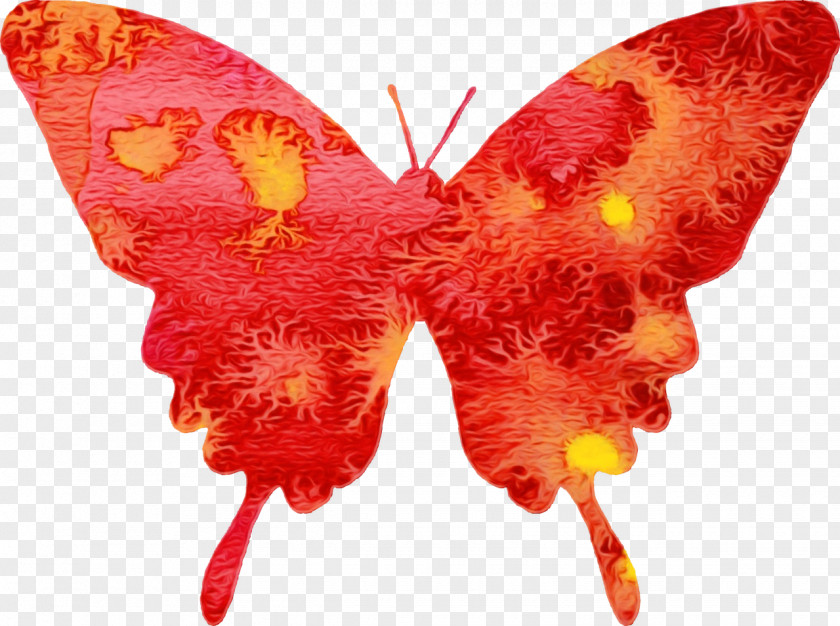 Emperor Moths Anthurium Watercolor Butterfly Art PNG