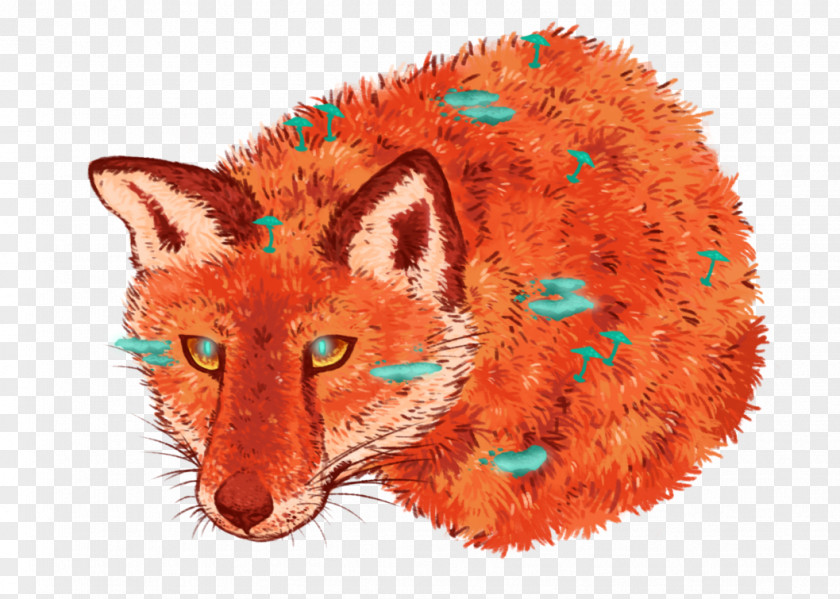 Fox Watercolor Red Whiskers Art Snout PNG