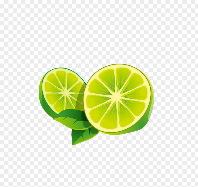 Lemon Lime Icon PNG