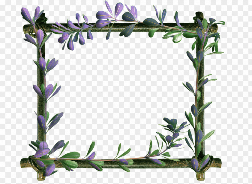 Design Floral Picture Frames Rectangle 8 March PNG