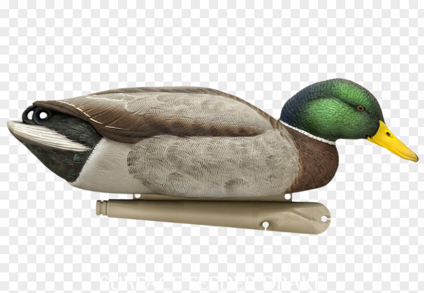 Duck Mallard Decoy Goose PNG