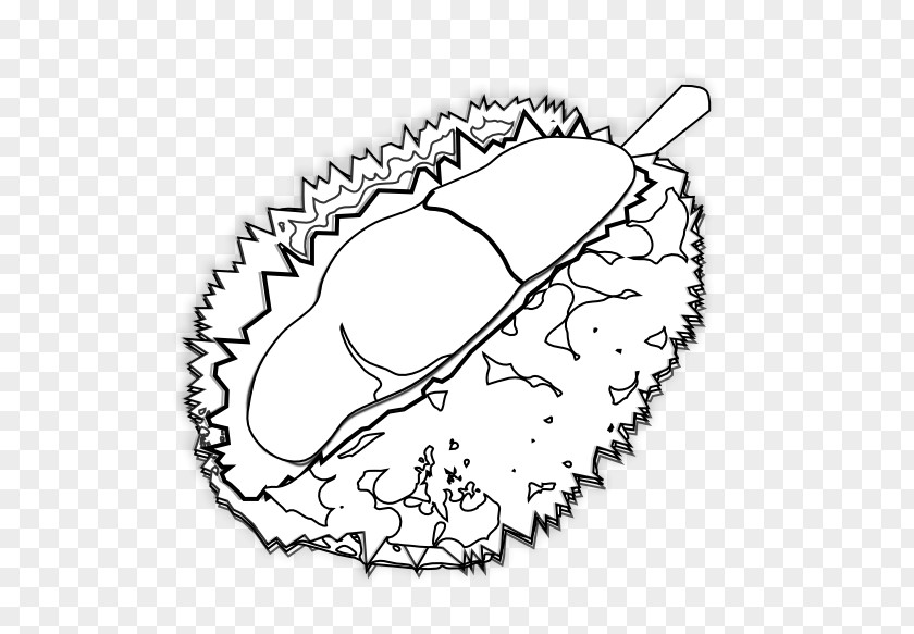 Durian Cliparts Thai Cuisine Coloring Book Clip Art PNG