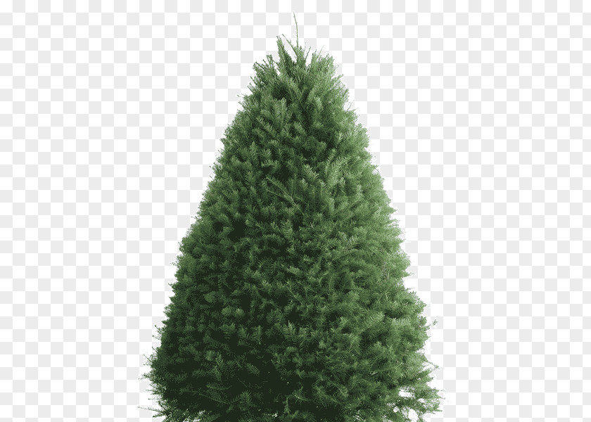Fir Wood Balsam Douglas Artificial Christmas Tree PNG