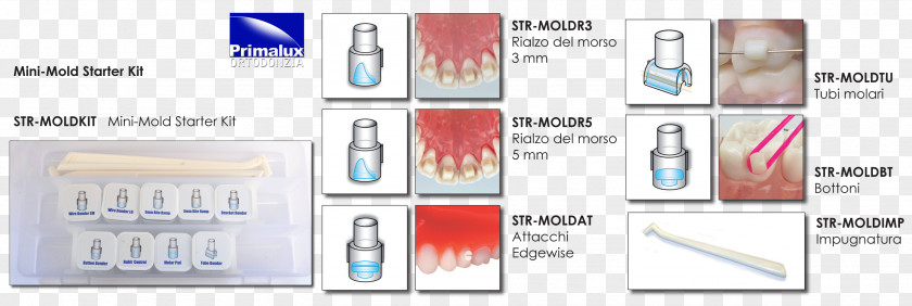 Mold Paper Technology Brand PNG