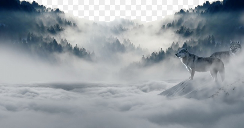 Valley Wolf Arctic Nature Cloud Sky Wallpaper PNG