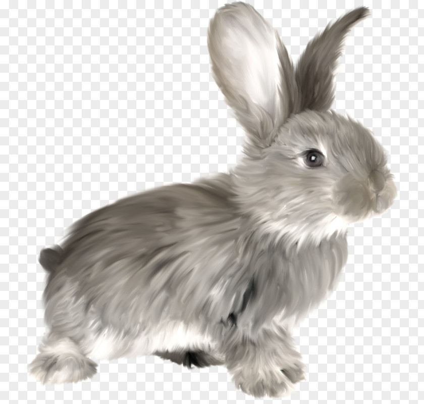 Watercolor Bunny Rabbit Clip Art PNG