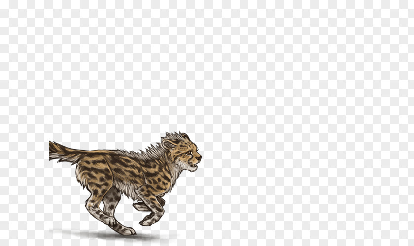 Cheetah Cat Animal Mammal Carnivora PNG