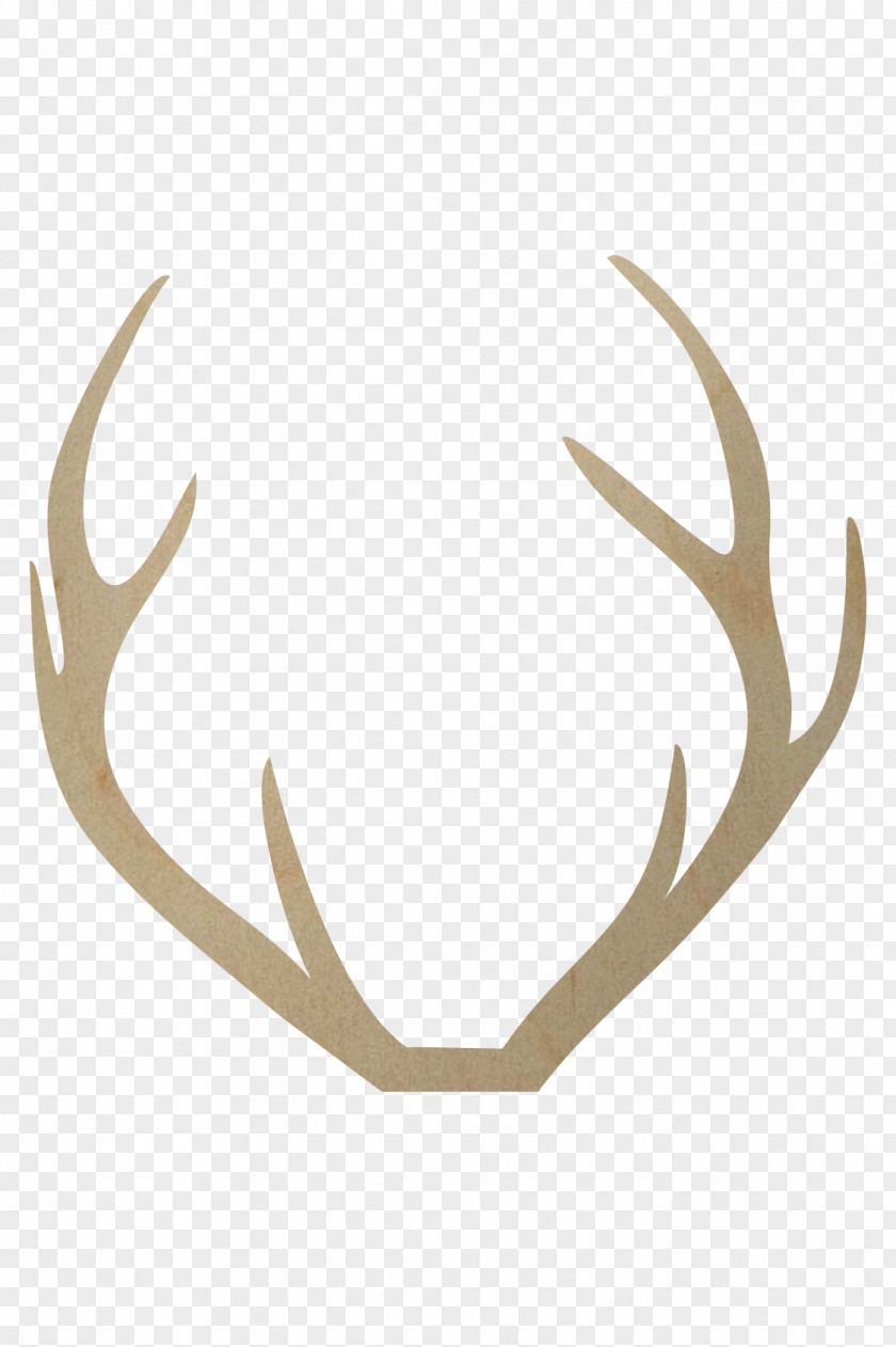 Deer Red Antler Reindeer Elk PNG