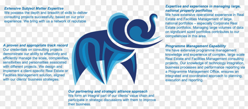 Design Graphic Brand Organization PNG