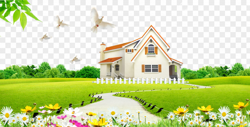 Green Grass House Peace Dove Lawn Download High-definition Television PNG