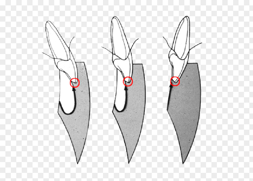 Knife Throwing Drawing PNG