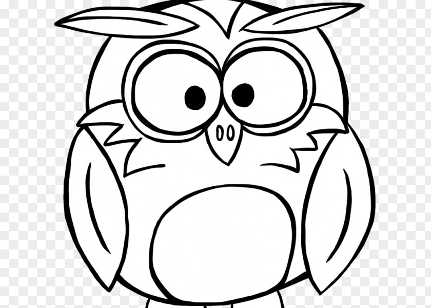 Owl Drawing Clip Art PNG