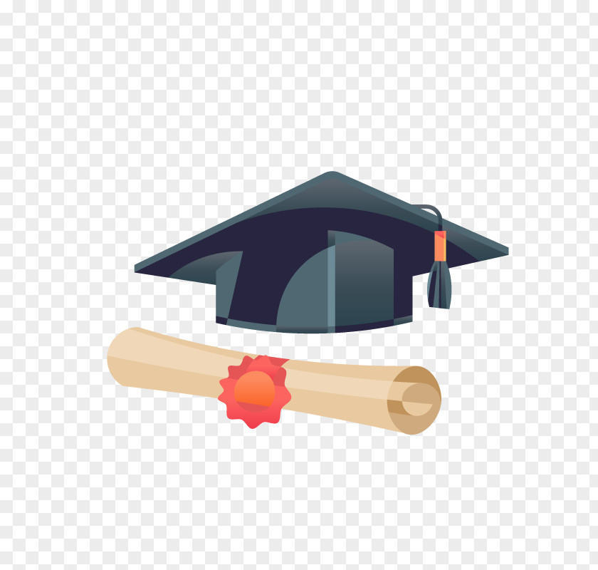 Vector Student Cap Estudante Diploma PNG