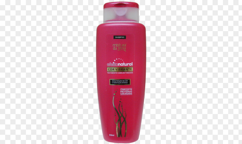 Vibrant Lojas Americanas Price Proposal Hair Care PNG