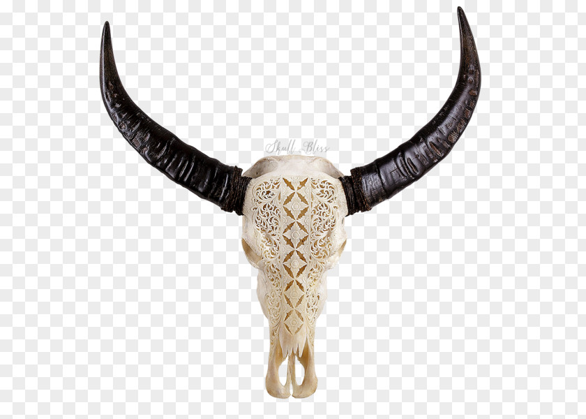 Buffalo Skull Cattle Necklace PNG