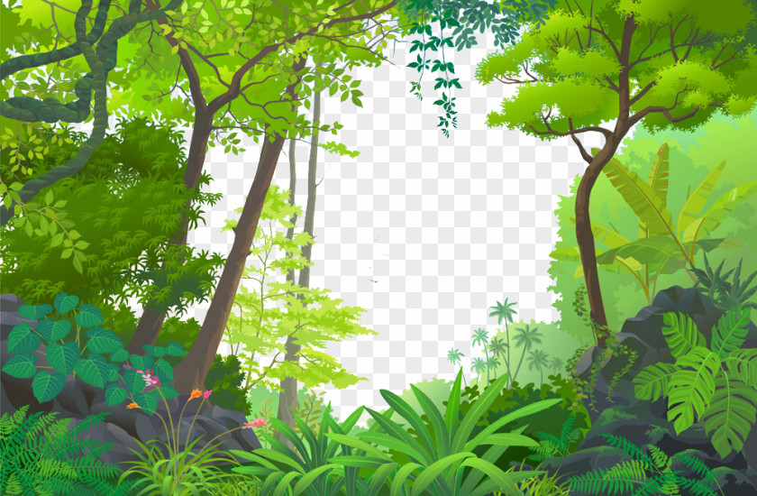 Cartoon Forest Jungle Euclidean Vector Tropical Rainforest PNG