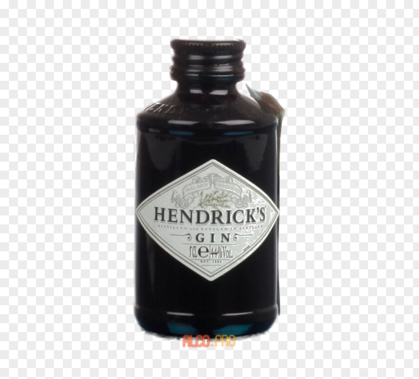 Cocktail Hendrick's Gin Distilled Beverage Jenever PNG