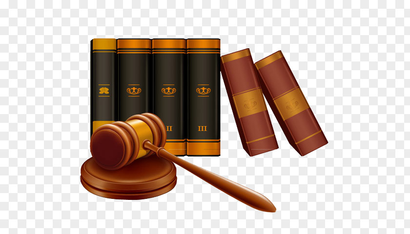 Criminal Law Court Judge Công Ty Luật Việt Phong PNG