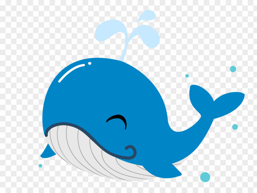 Dolphin Illustration Clip Art Whale Image PNG