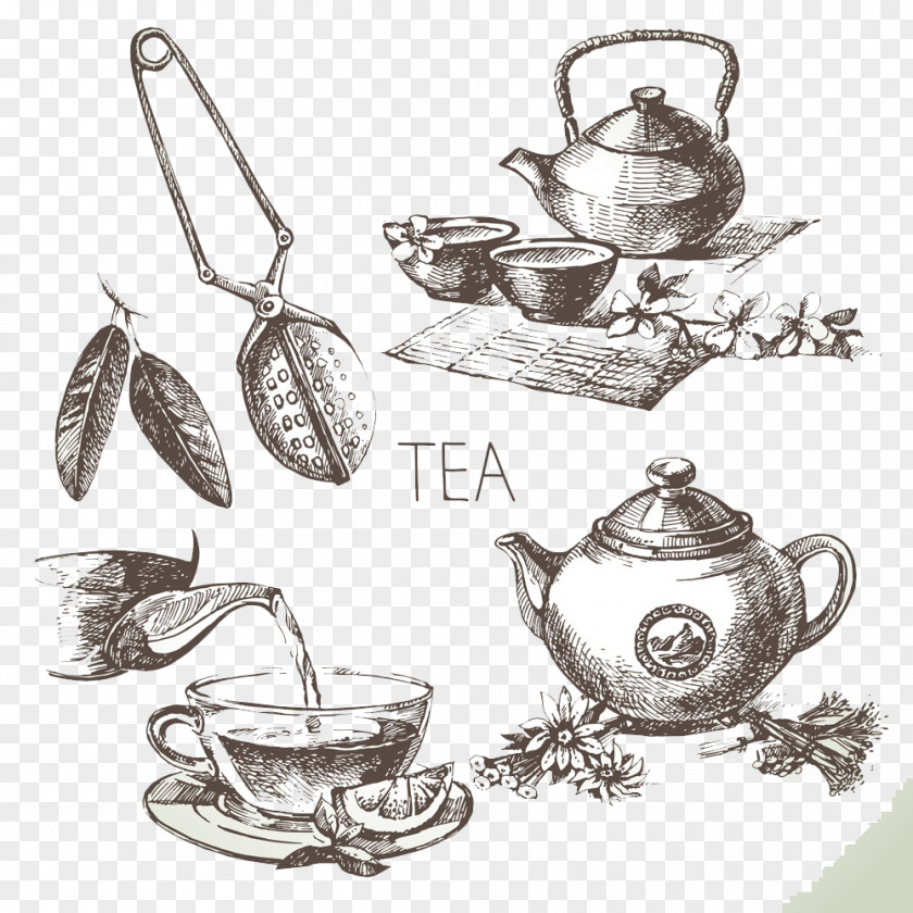 Hand-painted Tea Cup Green Drawing Sketch PNG