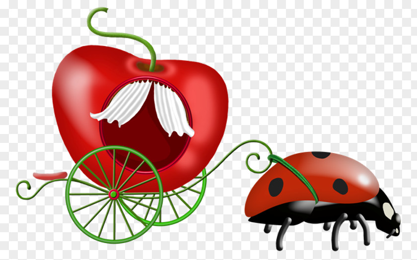 Ladybug Clip Art PNG