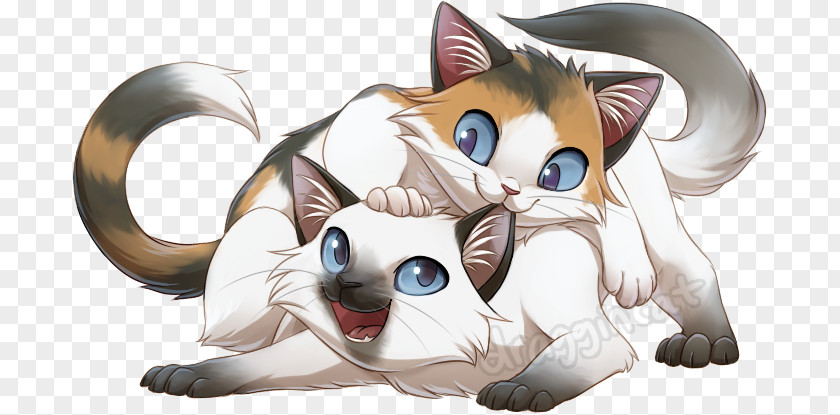 Rag Doll Kitten Ragdoll Whiskers Drawing Art PNG