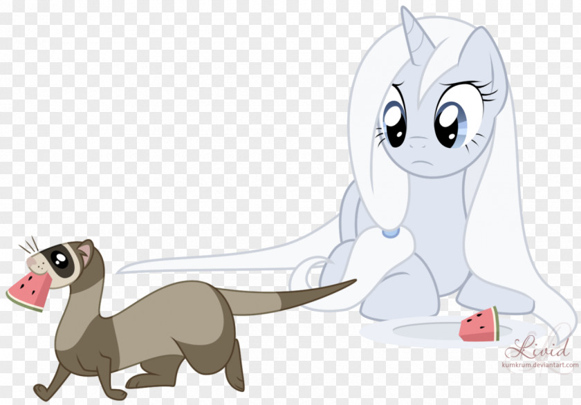 Stalwart Cat Pony Ferret Drawing PNG