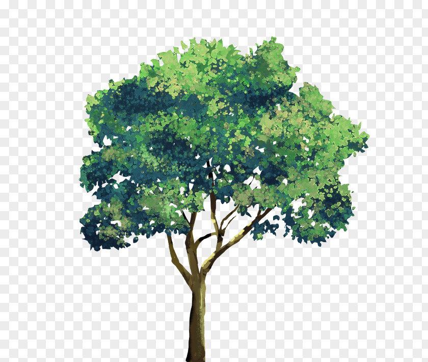 Tree Light Green PNG