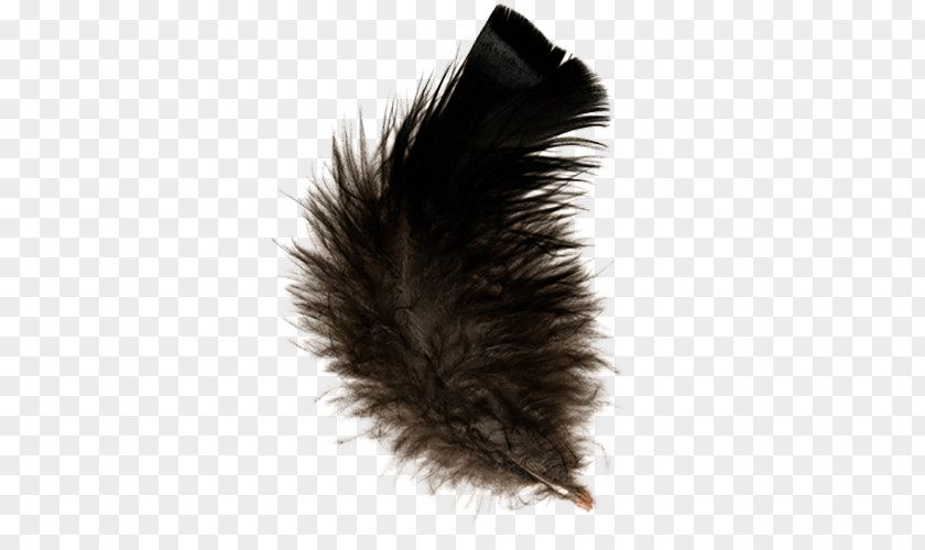 A Brown Feather Clip Art PNG