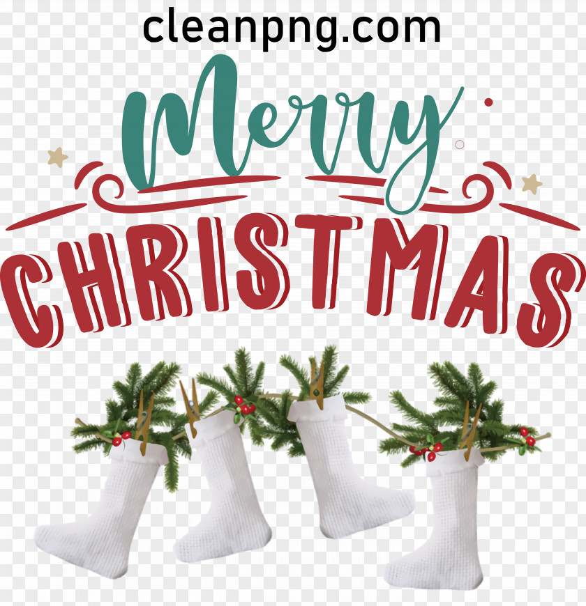 Christmas Sock PNG