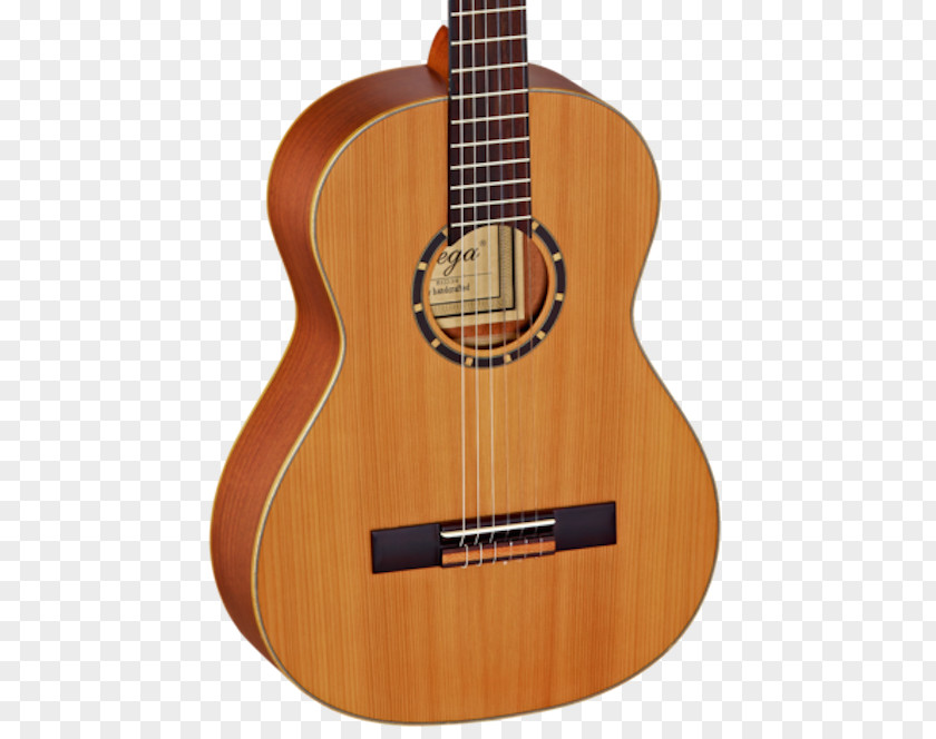 Classical Corner Guitar Acoustic Musical Instruments PNG