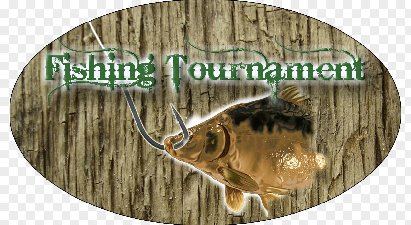 Fishing Tournament Xbox 360 Game Computer Wii Angling PNG