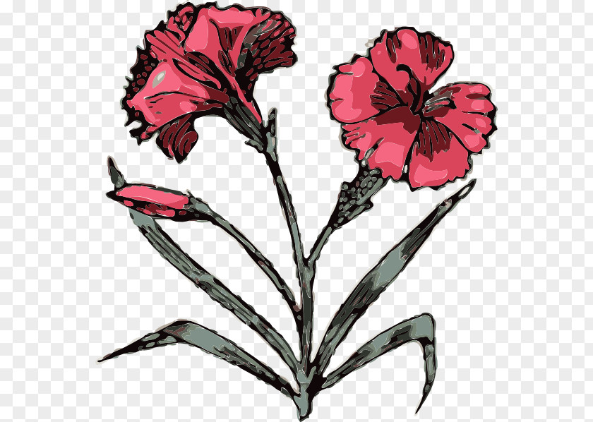 Flower Images Tattoos Carnation Free Content Clip Art PNG