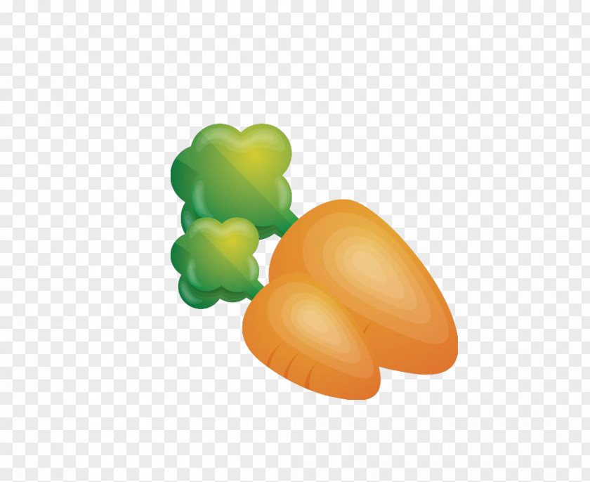 Carrot Drawing Vegetable PNG